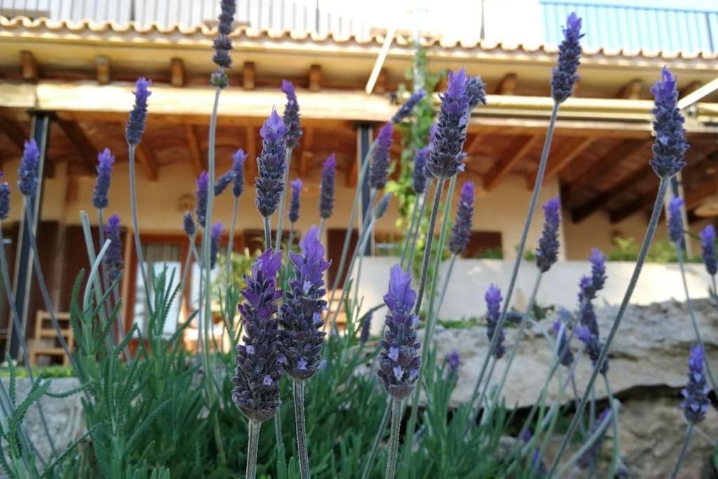 Finca Rural S'Estepa Palma de Maiorca Exterior foto